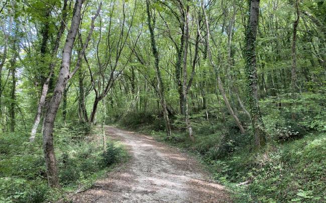 Sentiero natura Guilmi