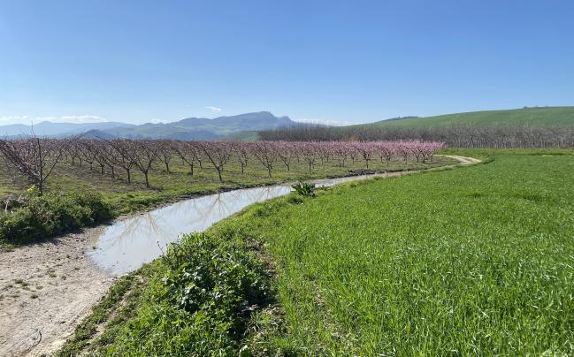 Pescheti Valle del Trigno
