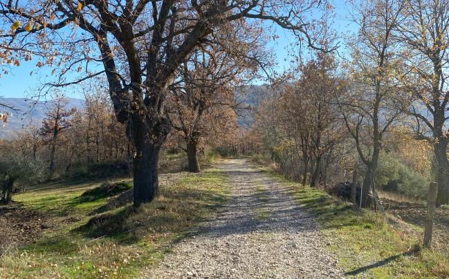 Sentiro-san-giovanni-lipioni