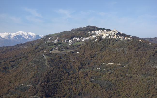 Liscia