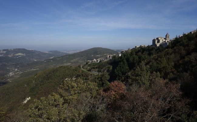 PALMOLI