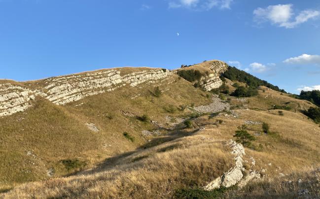 Roccaspinalveti