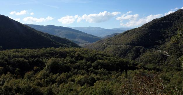 Bosco Romelle