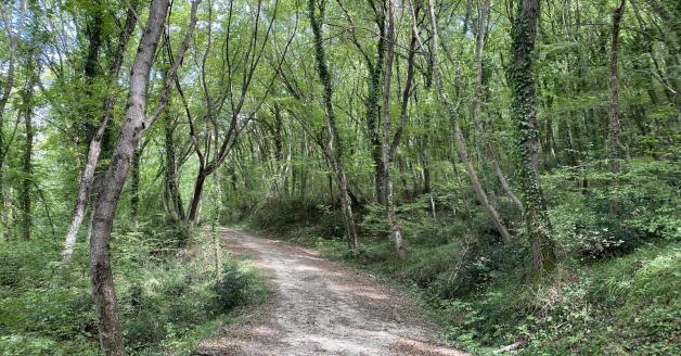 Sentiero natura Guilmi