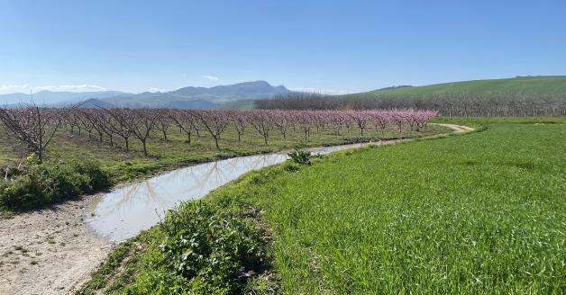 Pescheti Valle del Trigno