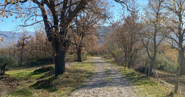Sentiro-san-giovanni-lipioni