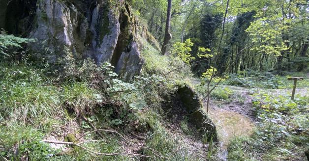 Gessi dei Monti Frentani