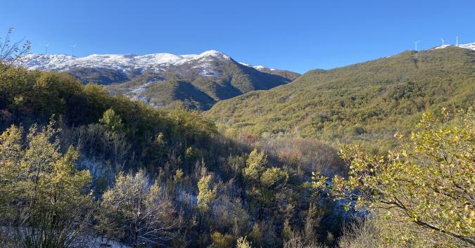 Valle Del Treste