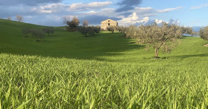 Sul Sentiero dei Gessi