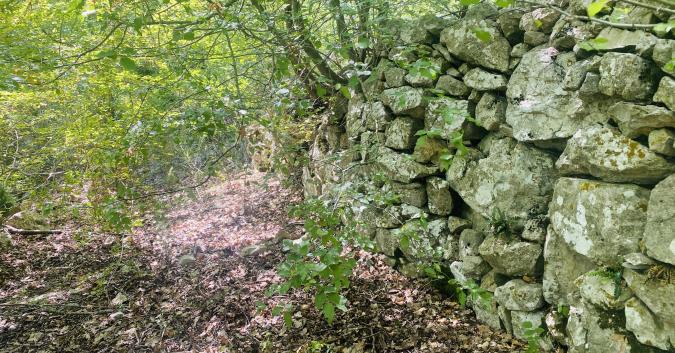 Testimonianza delle maestranze locali