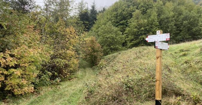 Bivio inizio sentiero 630