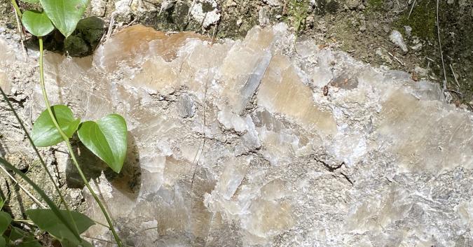 Cristalli di gesso osservabili sul percorso