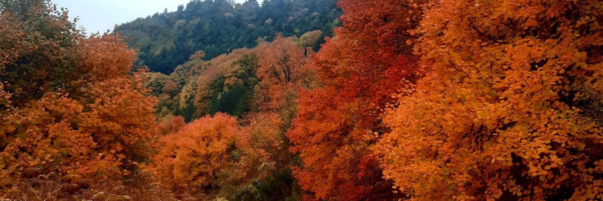 Monti frentani autunno