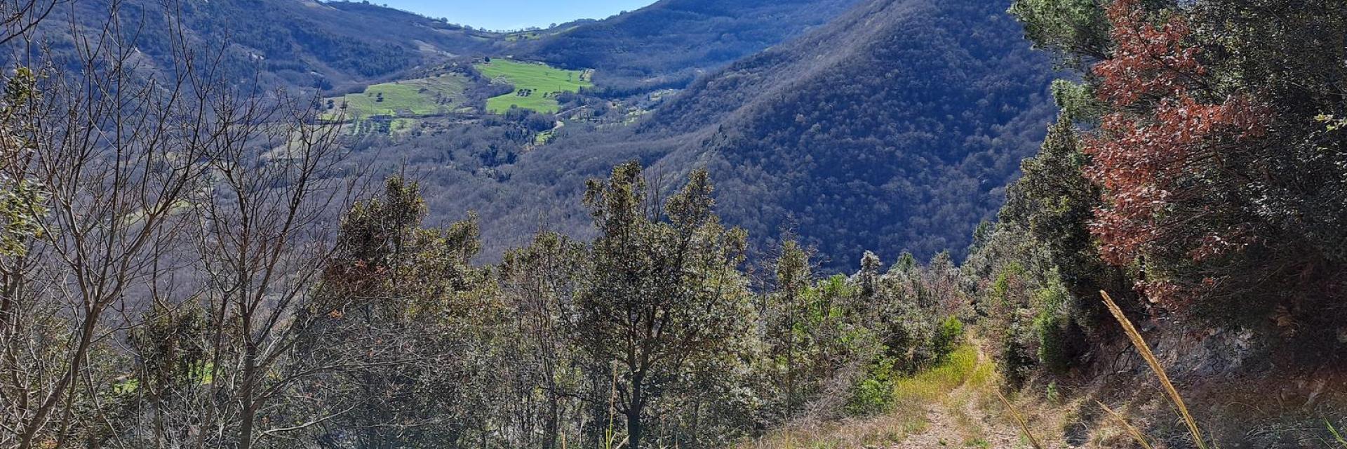 Sentiero-Maurizio-Salvatore