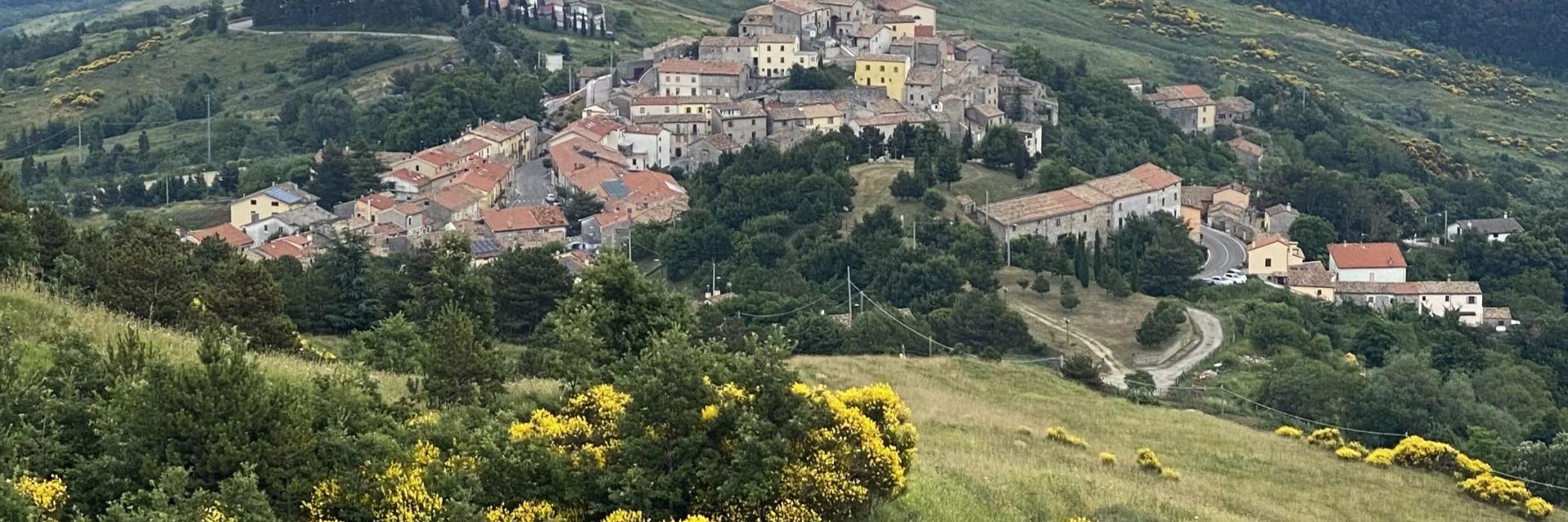 Torrebruna