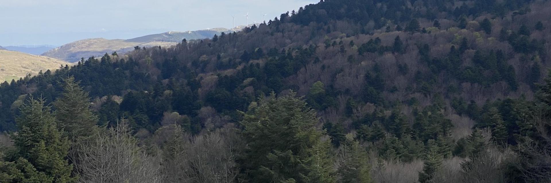 Visit Monti Frentani