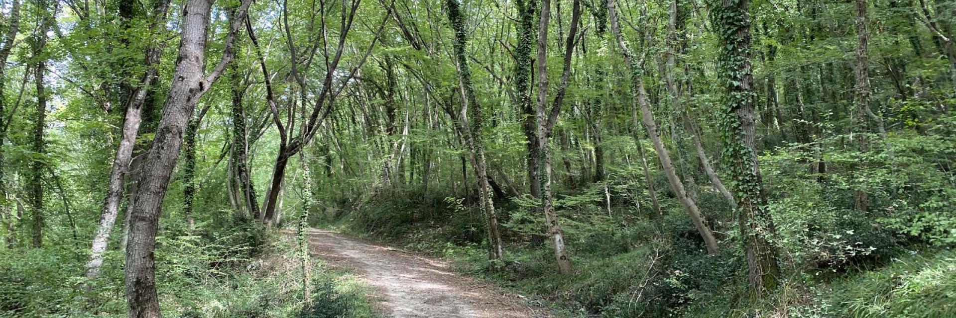 Sentiero natura Guilmi