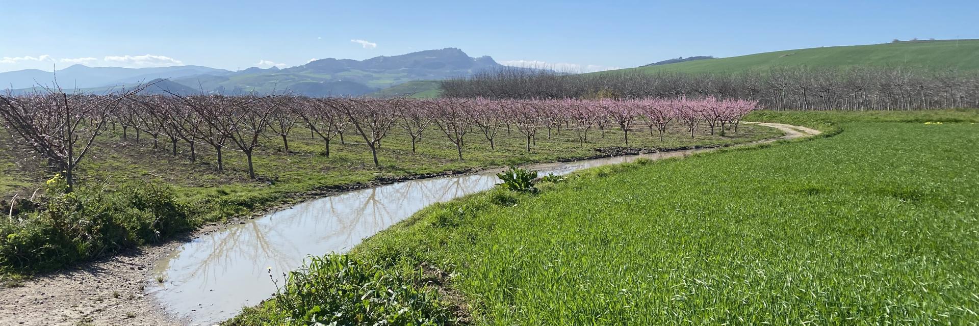 Pescheti Valle del Trigno