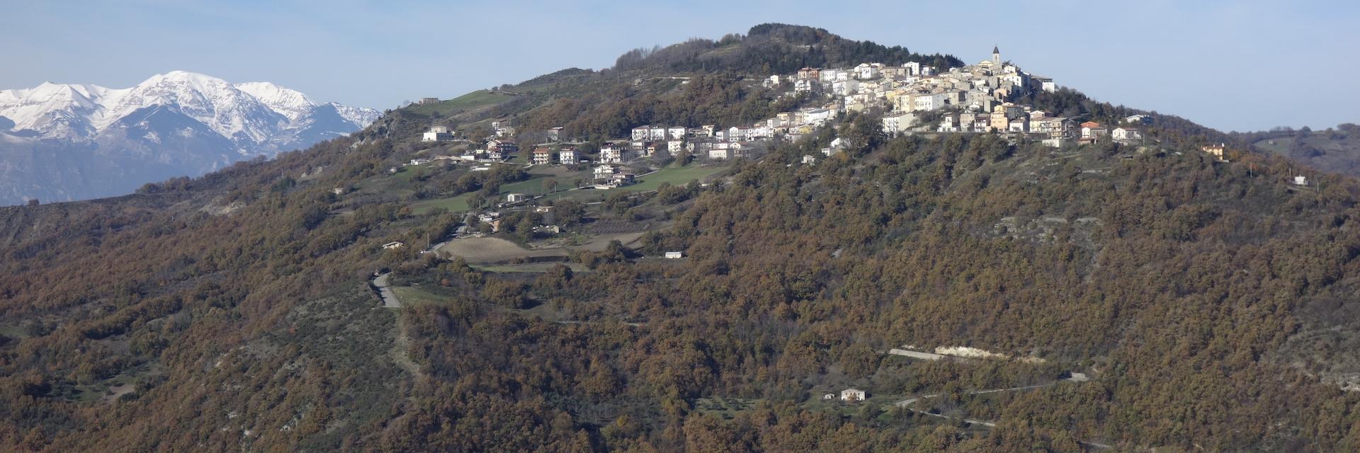 Liscia