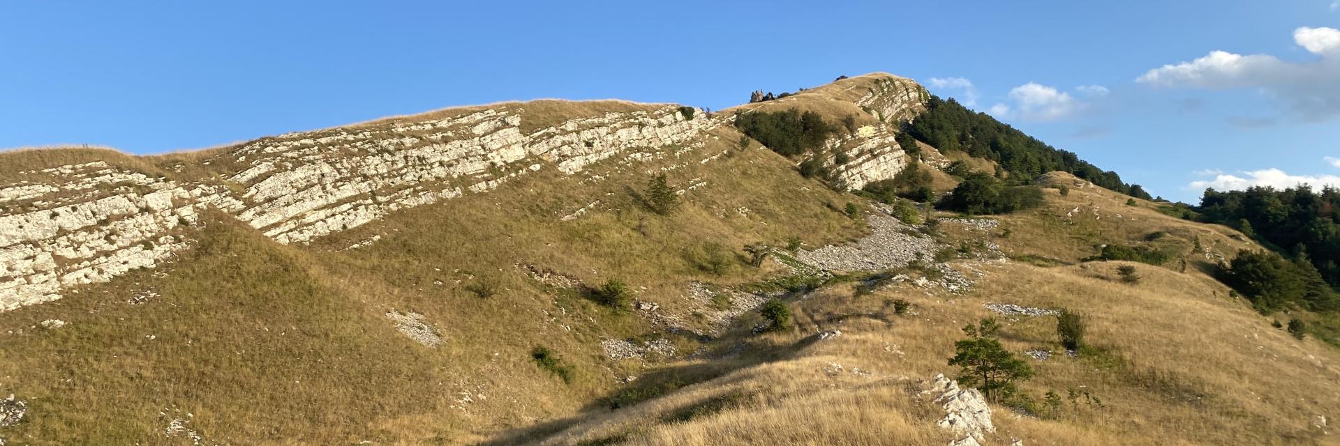 Roccaspinalveti