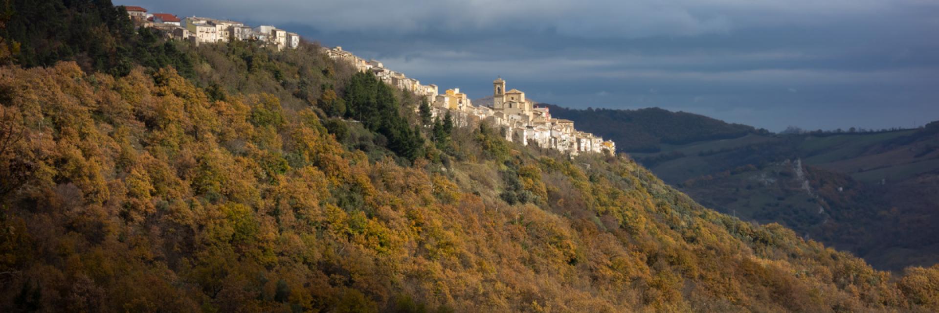 SAN BUONO