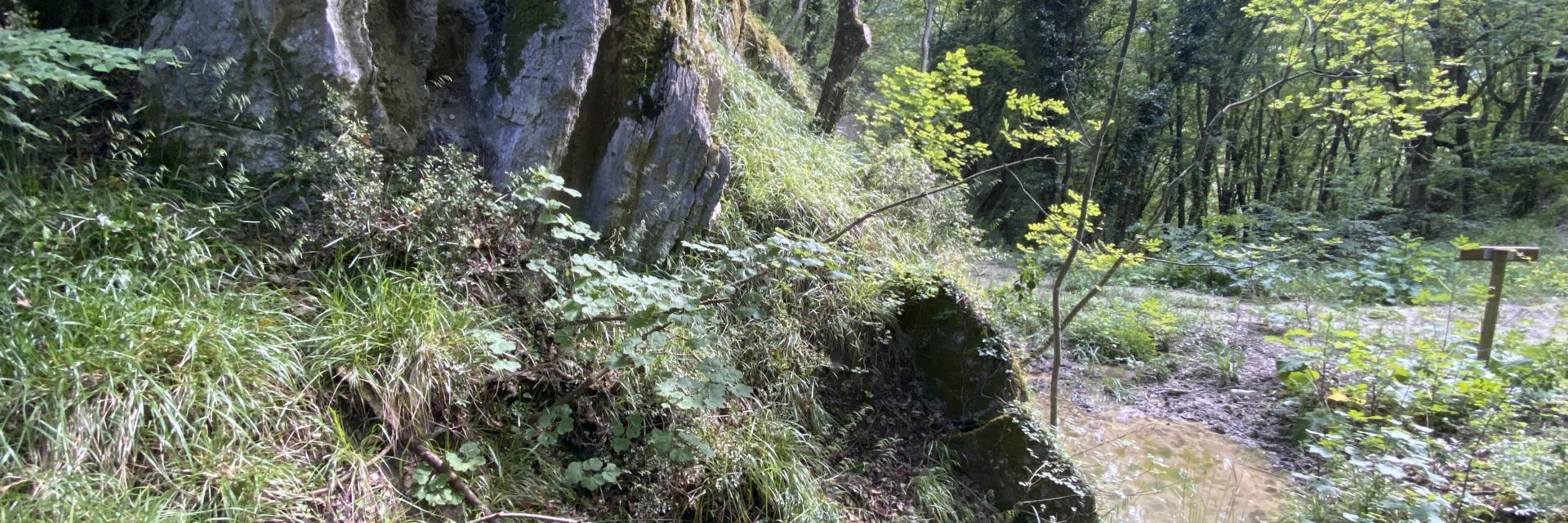 Gessi dei Monti Frentani